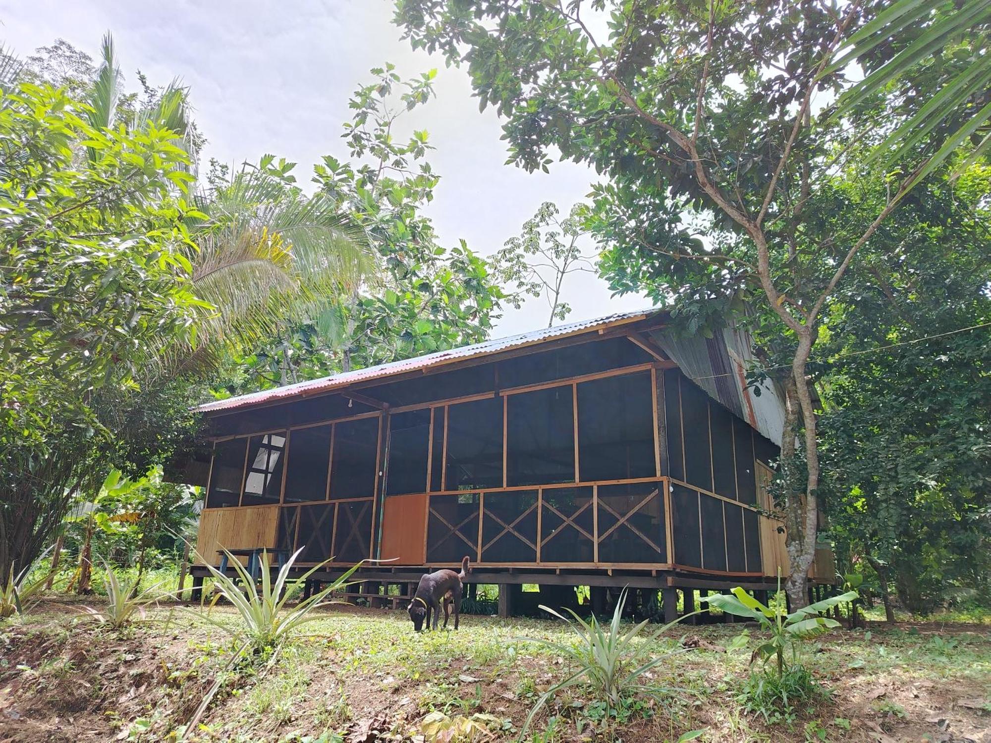 Don Jaime - Hostel Puerto Maldonado Exteriör bild